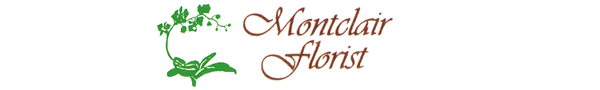 Montclair Florist
